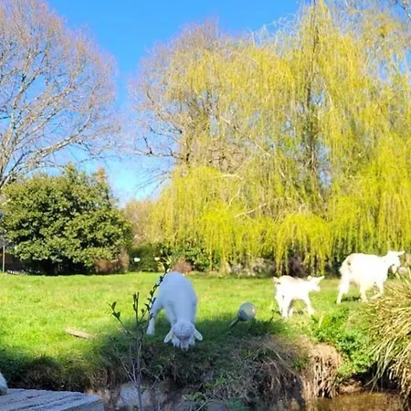 Le Domaine Des Sources Bed and breakfast Landévant